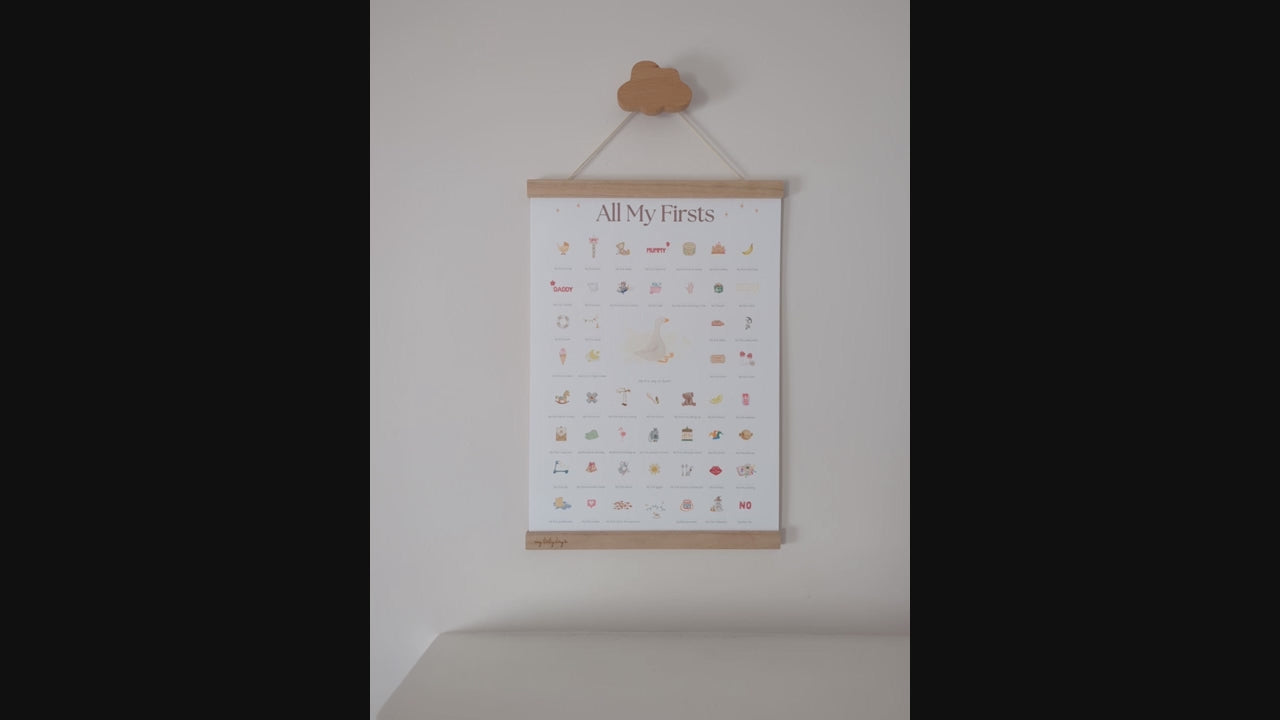 All My Firsts Goose print in detail hanging an wall video